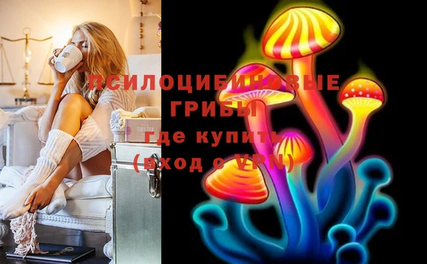 бошки Алзамай