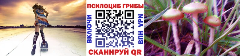 где купить   Тетюши  KRAKEN ONION  Галлюциногенные грибы прущие грибы 
